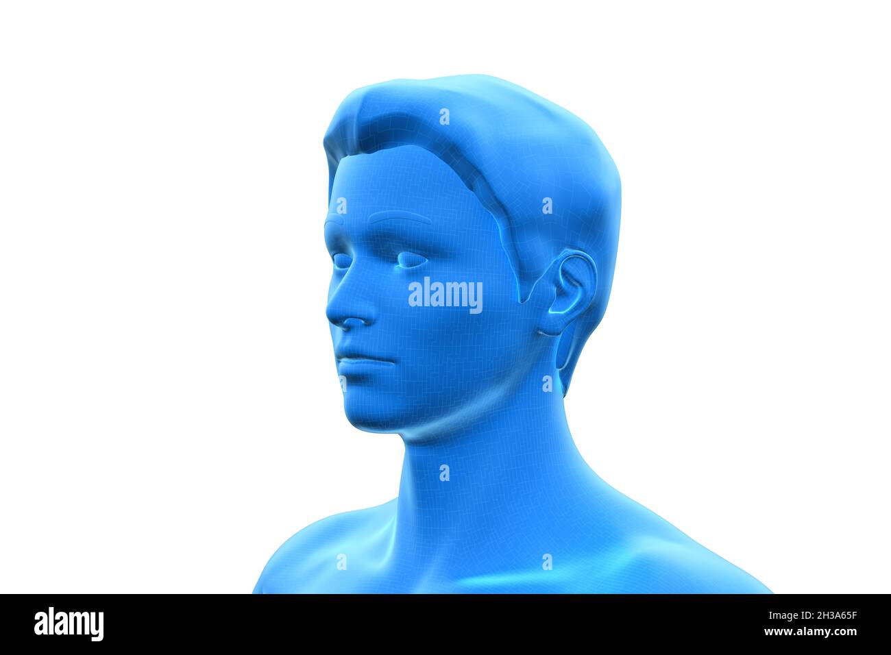 Man, Head of Human Male, 3D Stockfoto
