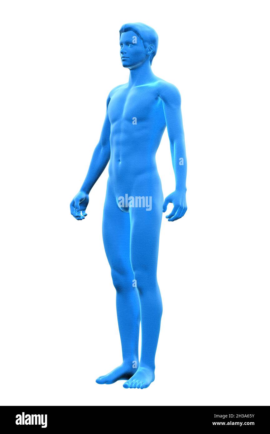 Mann, Körper des menschlichen Mannes, 3D Stockfoto