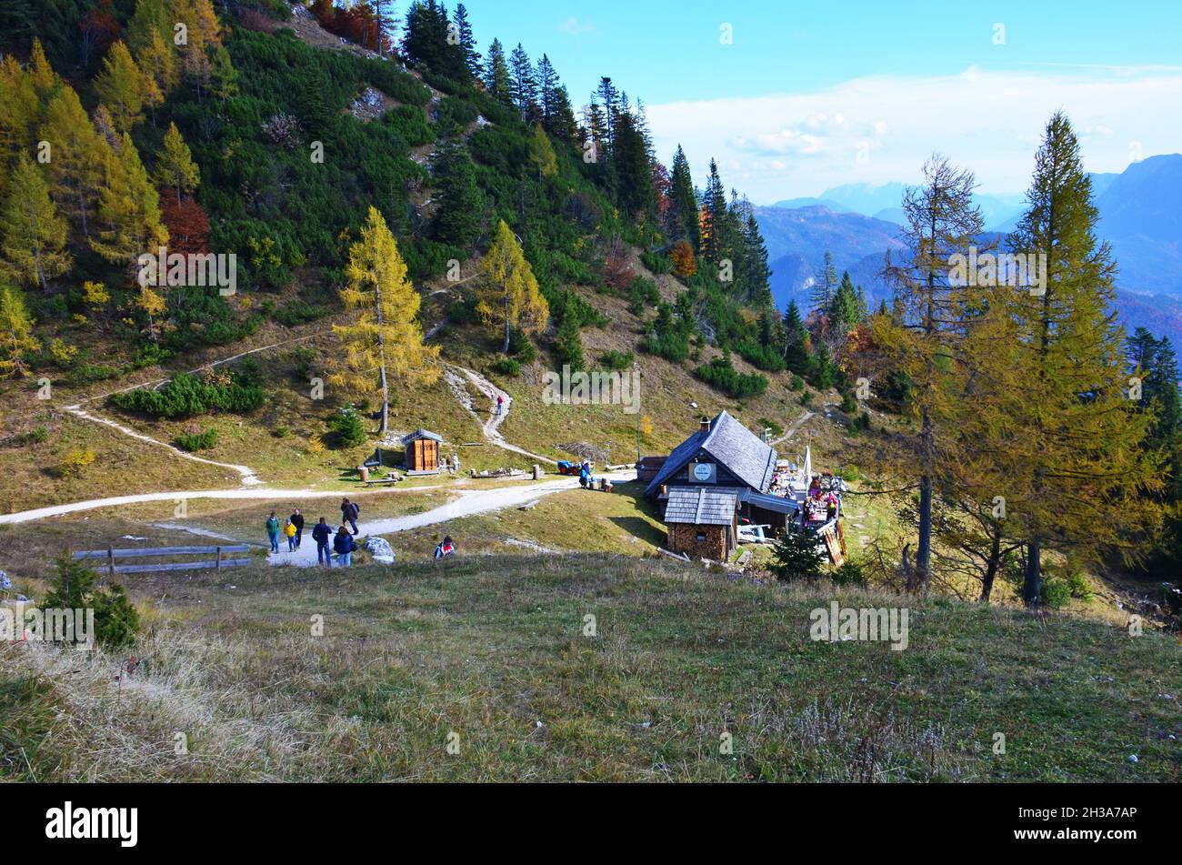 Katringifel (1542 Meter) und (Katrinalm (1393 Meter) in Bad Ischl (Salzkammergut, Bezirk Gmunden, Oberösterreich, Österreich) - Katringifel (1542 Me Stockfoto