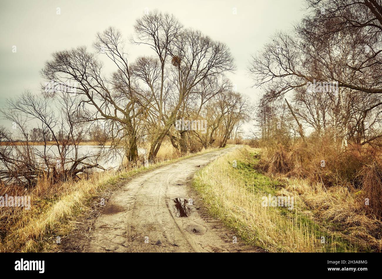 Feldweg im Herbst, Farbtonung aufgetragen. Stockfoto