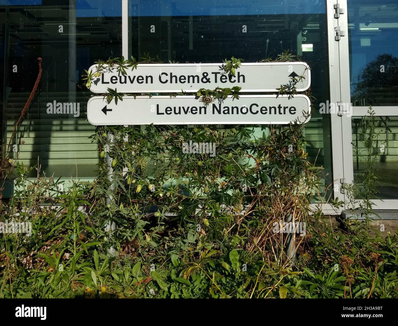 Schild für das Leuven Chem&Tech und Leuven NanoCenter mit Pflanzen bewachsen Stockfoto