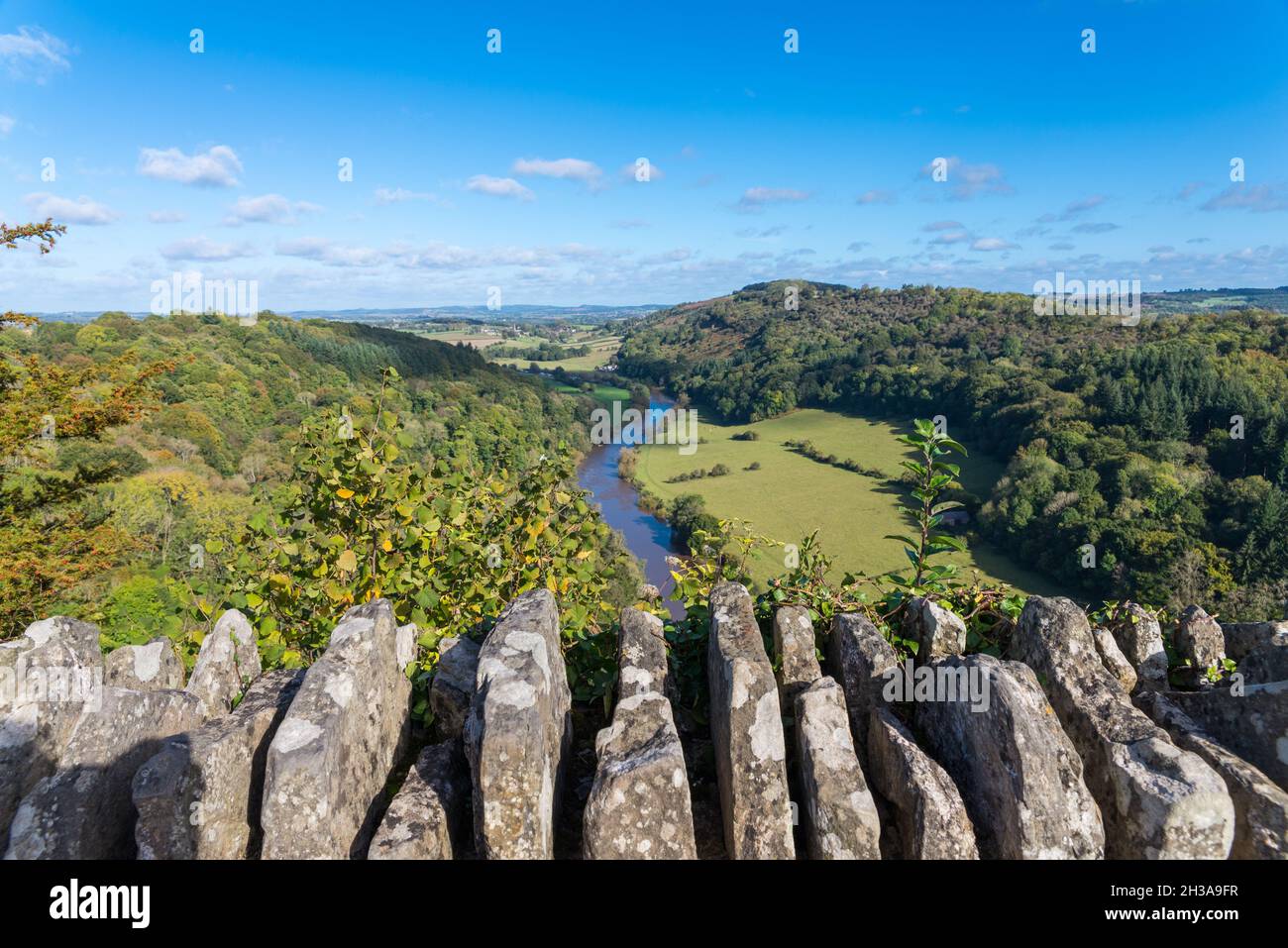 Blick auf den schlammigen und schmutzigen Fluss Wye in Herefordshire vom 120 Meter hohen symonds yat-Felsen Stockfoto