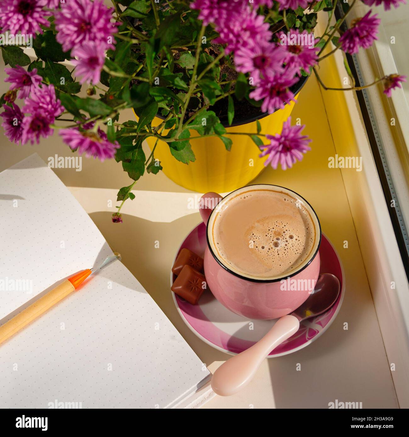 Kaffeetasse Schokolade Notizbuch schöne rosa Herbst Chrysantheme Blumen in gelben Topf auf Fenster. Gemütliches Zuhause Stockfoto