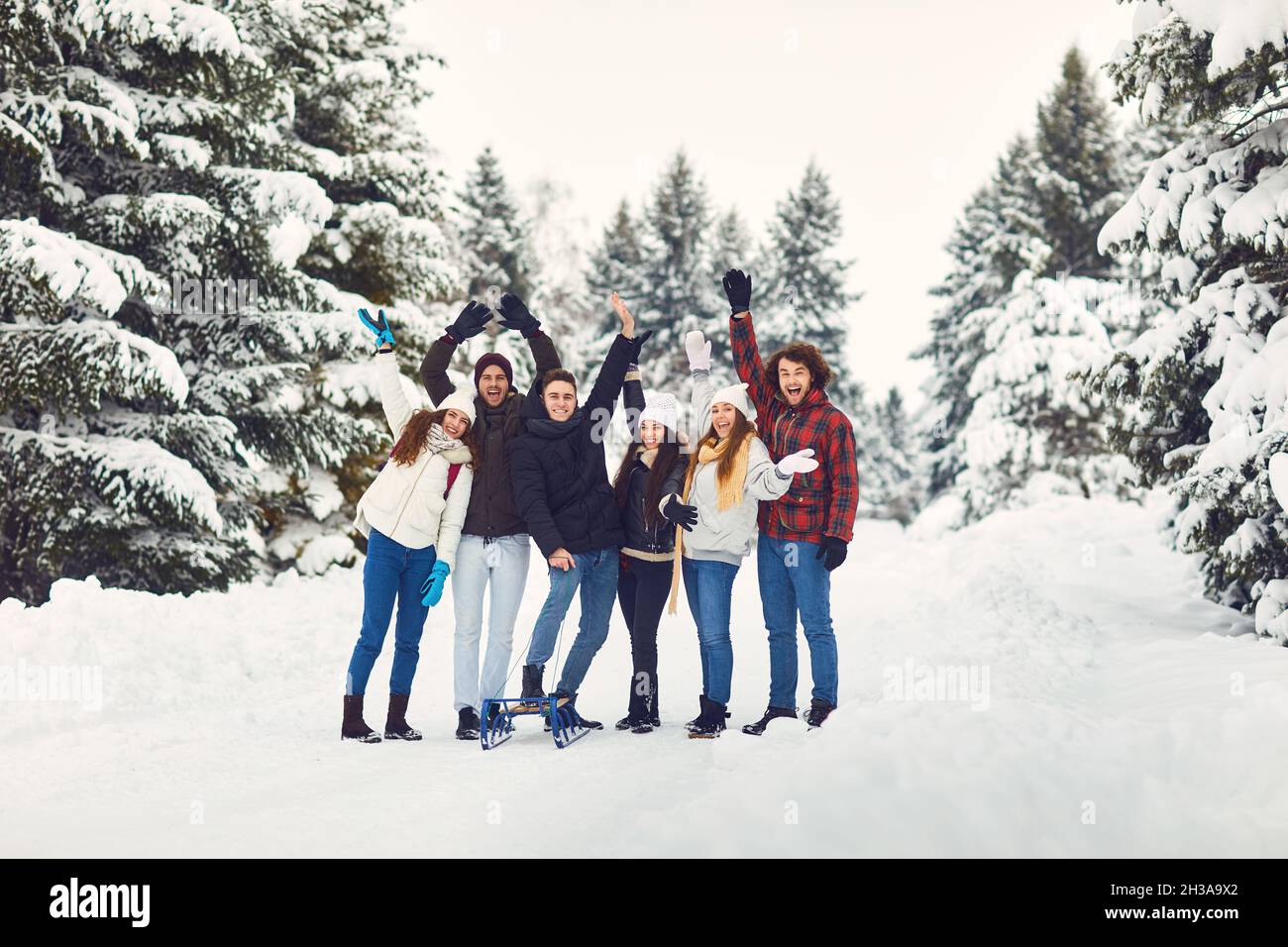 Begeisterte Freunde winken in Winterwäldern die Hände Stockfoto