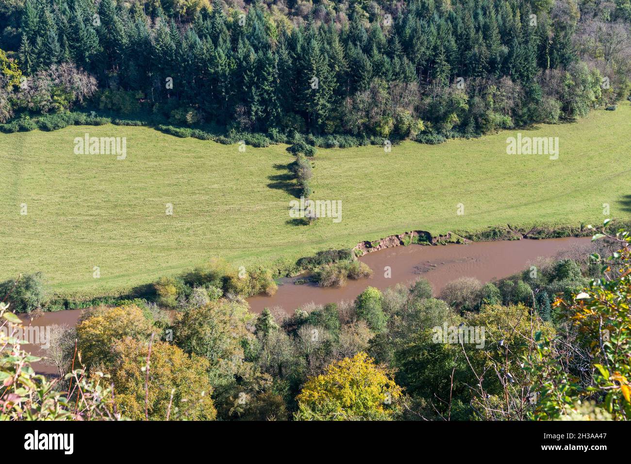 Blick auf den schlammigen und schmutzigen Fluss Wye in Herefordshire vom 120 Meter hohen symonds yat-Felsen Stockfoto