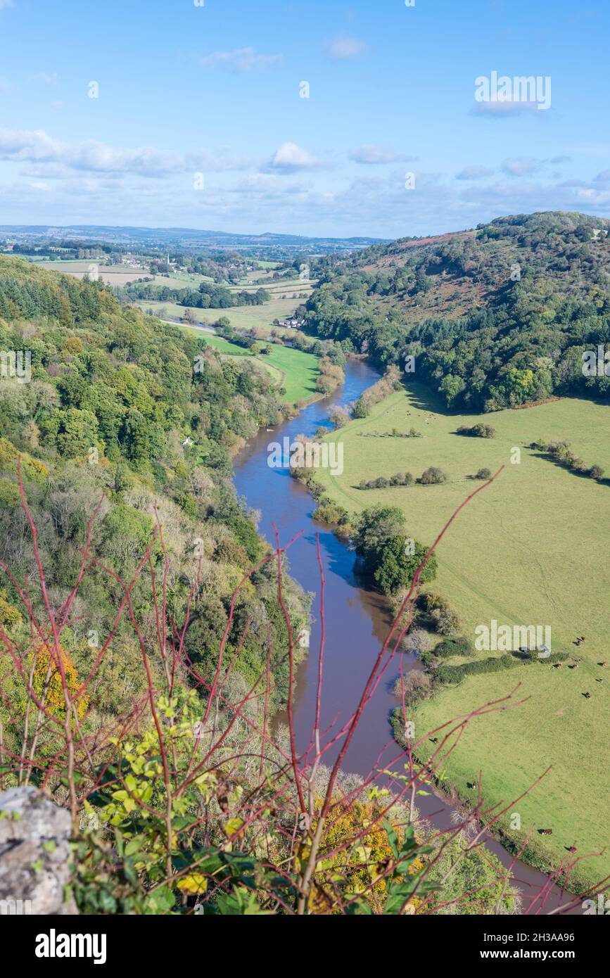 Blick auf den schlammigen und schmutzigen Fluss Wye in Herefordshire vom 120 Meter hohen symonds yat-Felsen Stockfoto