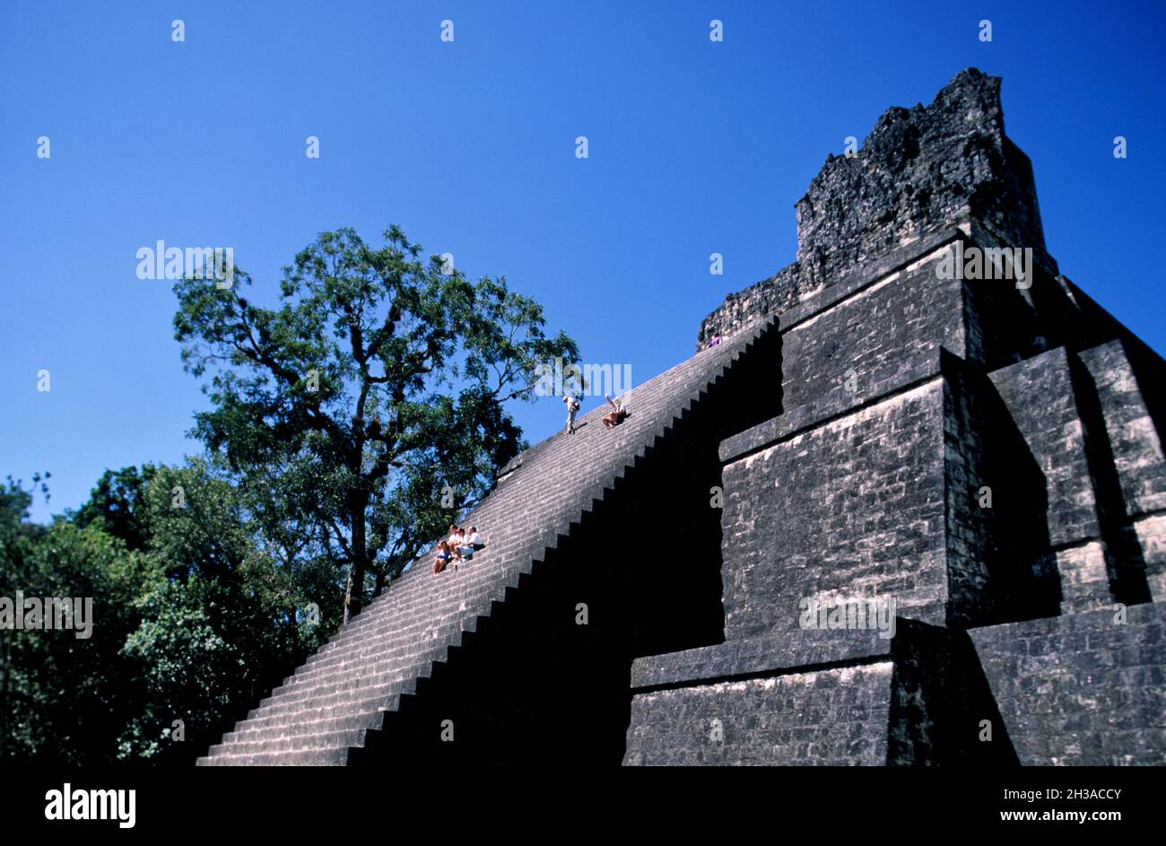 GUATEMALA. PETEN-REGION. ARCHÄOLOGISCHE STÄTTE VON TIKAL. GROSSE QUADRATISCHE PYRAMIDE Stockfoto