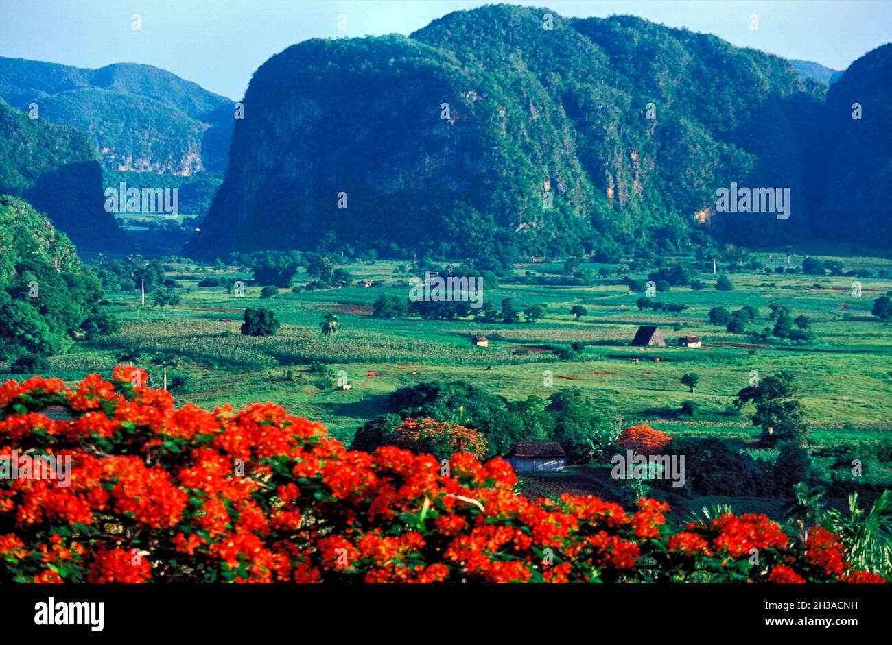 KUBA, REGION PINAR DEL RIO, VINALES-TAL Stockfoto