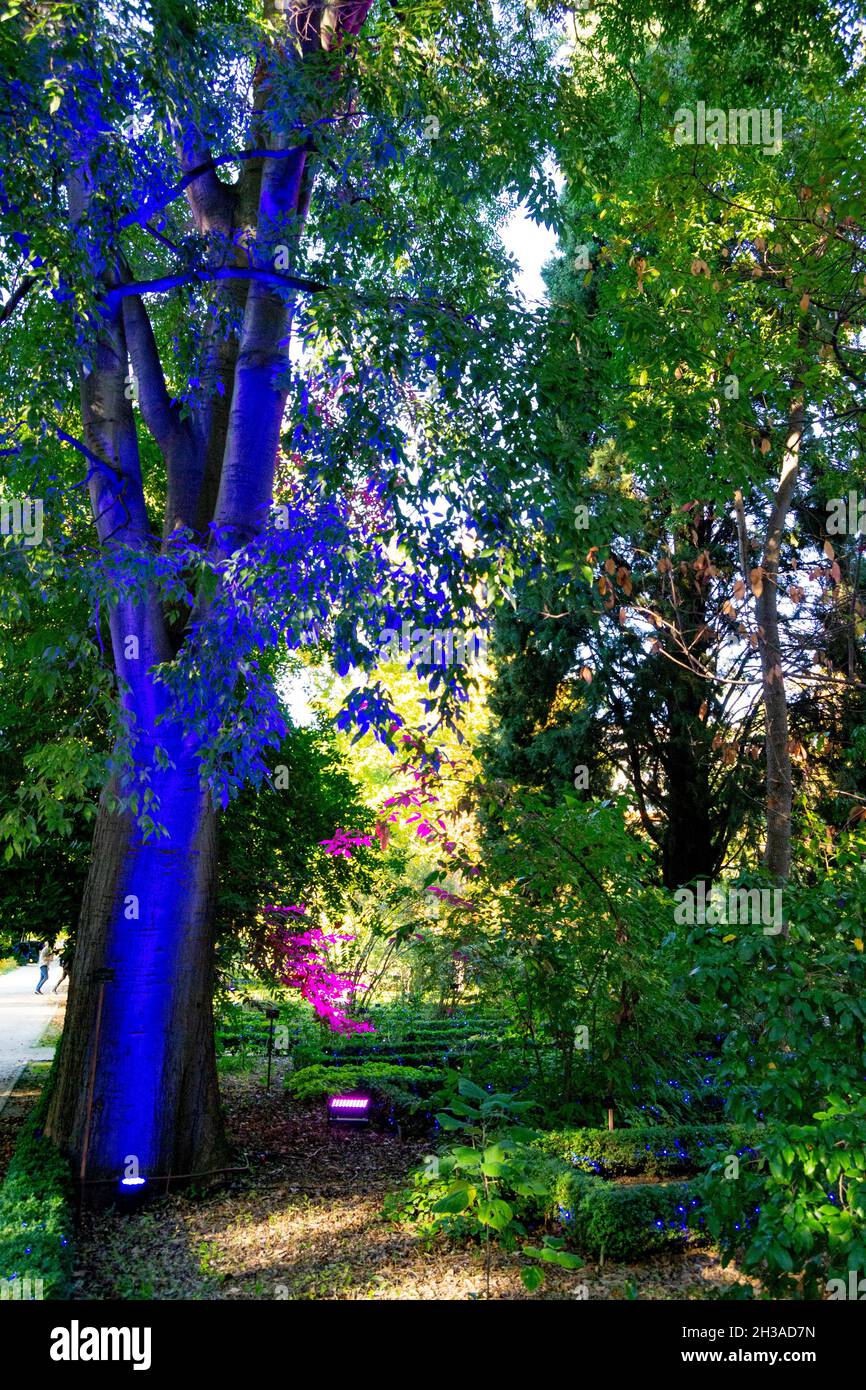 Königlicher botanischer garten von madrid Fotos und Bildmaterial in