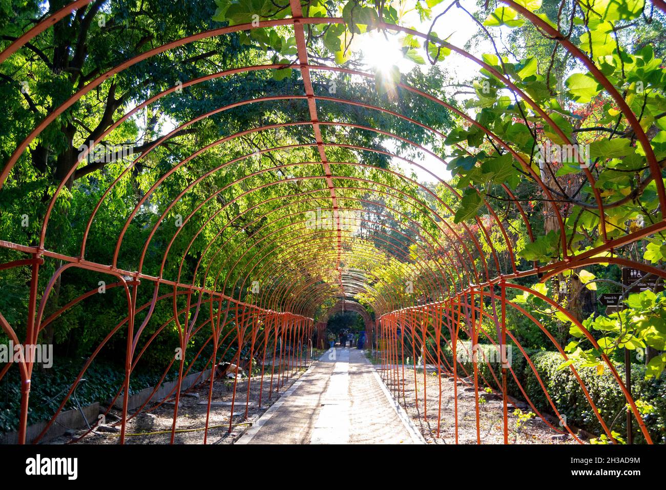 31+ Botanischer Garten Madrid, The royal botanic garden in madrid