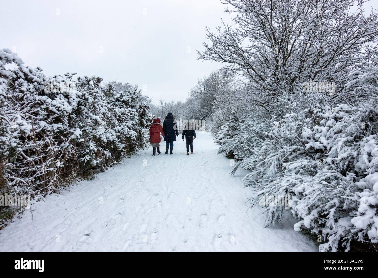 Allgemeine Ansicht der Wanderer auf der Hounslow Heath während eines starken Schneesturms am 24. Januar 2021. Stockfoto