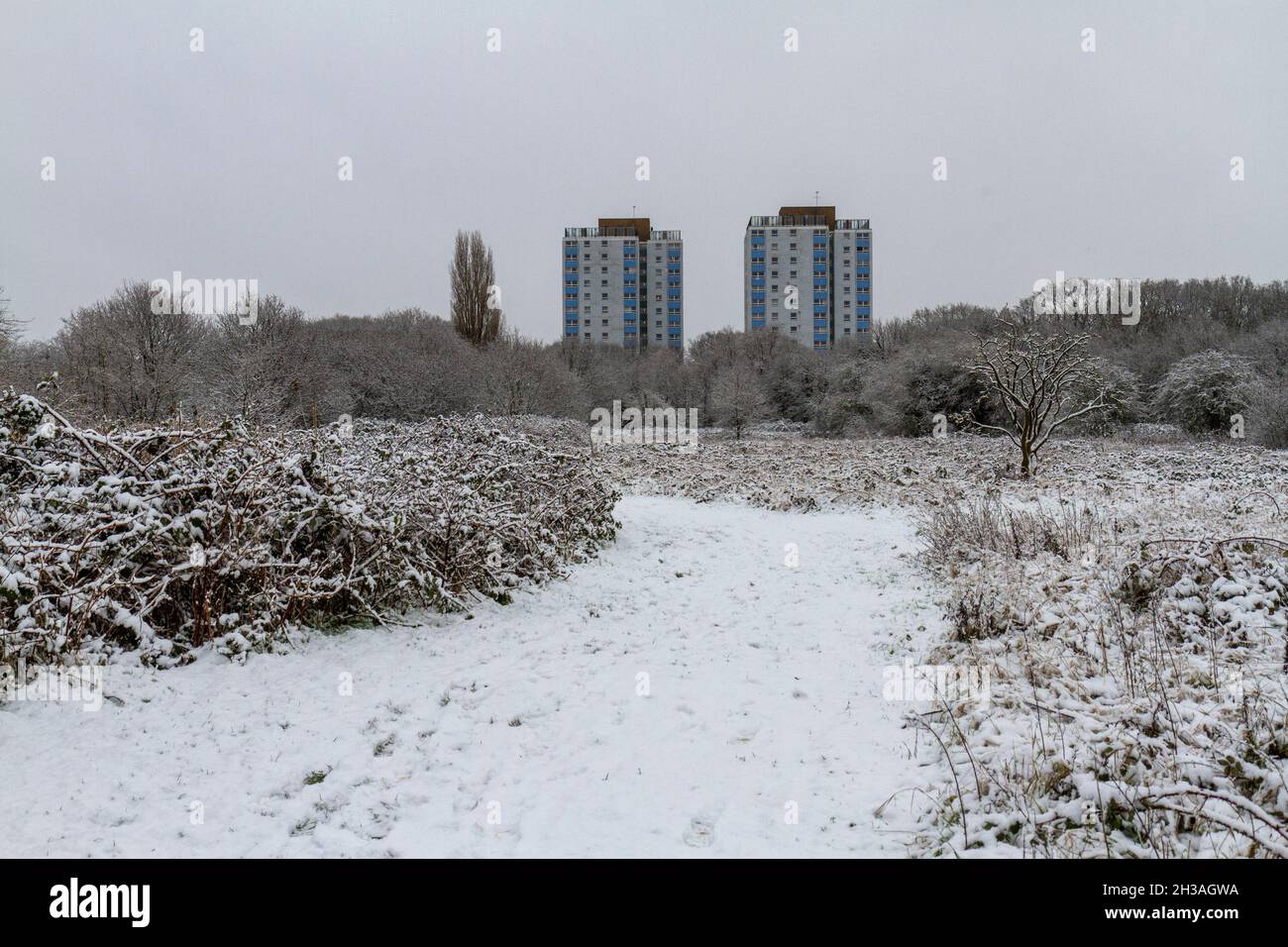 Blick bei starkem Schneesturm auf die Türme des Hounslow Heath Estate (Slade House (L) und des Jamieson House (R) von Hounslow Heath, London, Großbritannien. Stockfoto