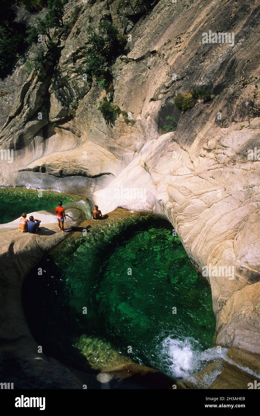 FRANKREICH. SÜDKORSIKA (2A) SCHLUCHT VON PURCARACCIA Stockfoto