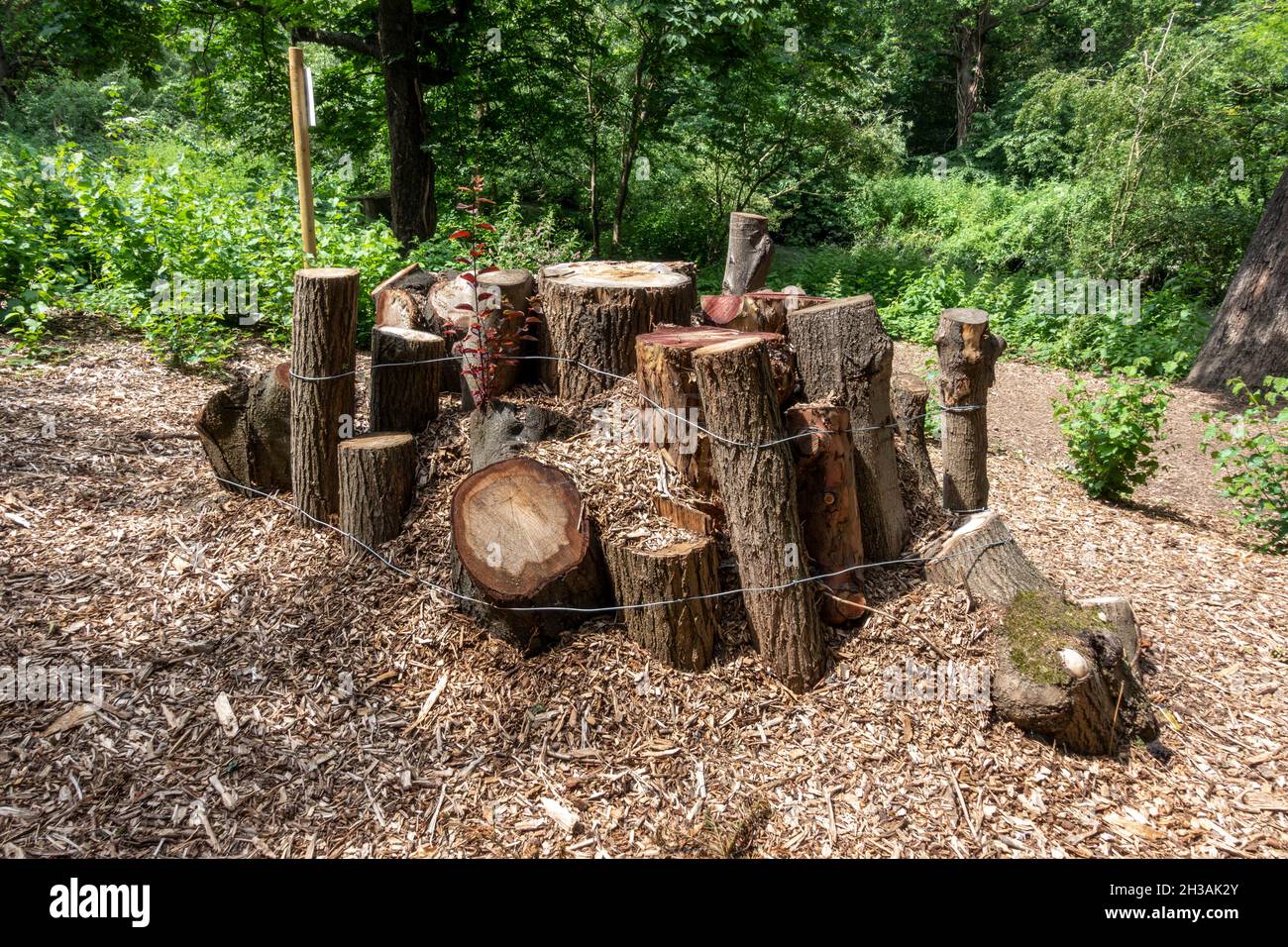 Ein Holzhaufen, der gebaut wurde, um einen Lebensraum für Wildtiere wie Insekten, kleine Säugetiere und Reptilien zu schaffen, Boston Manor Park, London, Großbritannien. Stockfoto