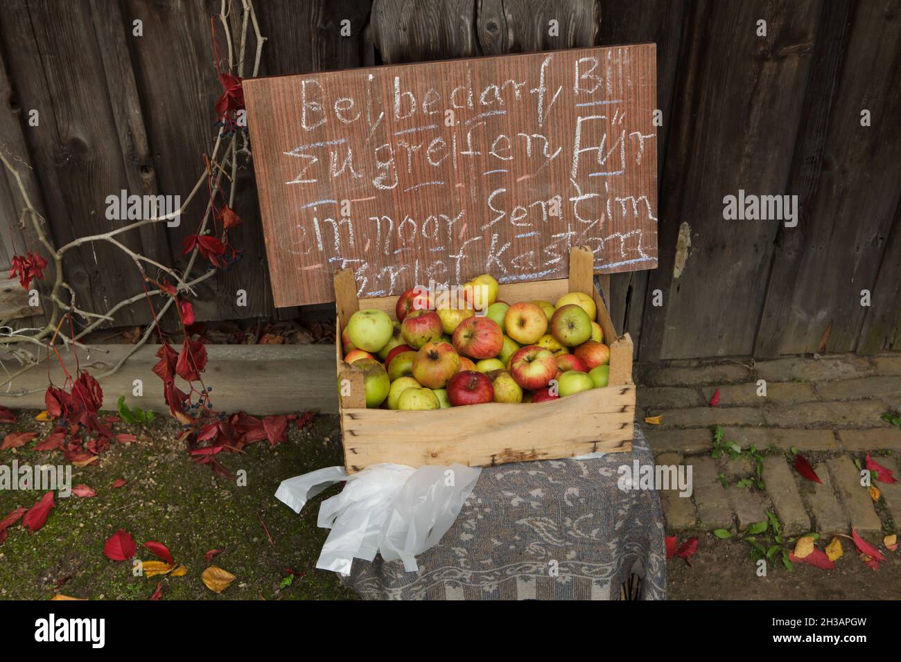 Schachtel mit Äpfeln vor einem der traditionellen russischen Holzhäuser in der Russischen Kolonie Alexandrowka in Potsdam. Die Inschrift auf Deutsch bedeutet: Nehmen Sie es, wenn Sie möchten, und legen Sie ein paar Cent in den Briefkasten. Stockfoto