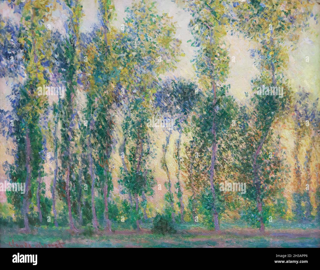 Gemälde „Poplars at Giverny“ des französischen Impressionisten Claude Monet (1887), ausgestellt im Museum Barberini in Potsdam. Stockfoto