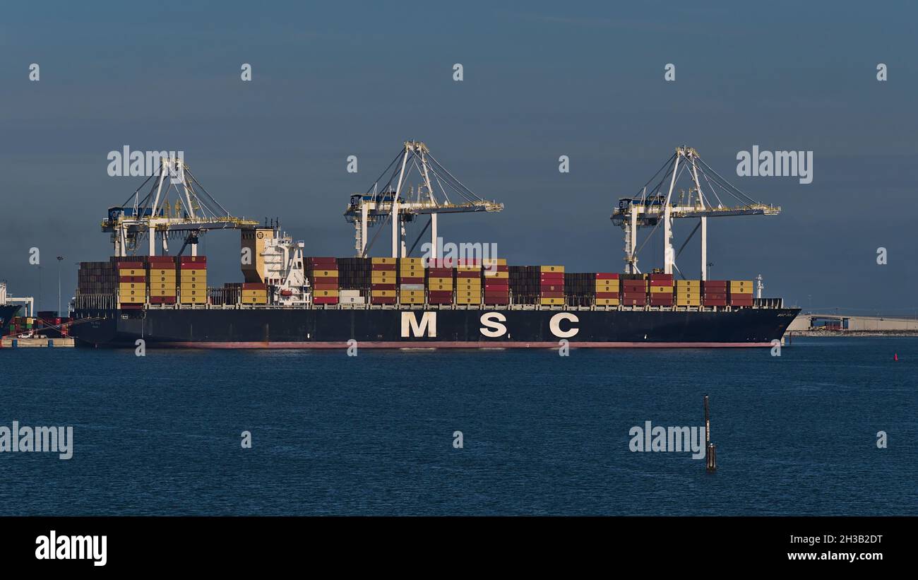 Blick auf den Roberts Bank Superport, der sich in der Straße von Georgia und einem Teil des Hafens von Vancouver befindet, mit dem Ladesiff MSC Sola. Stockfoto