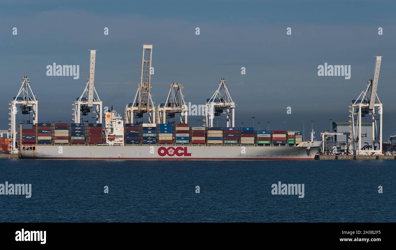 Container-Terminal von Roberts Bank Superport in der Straße von Georgia, Teil von Vancouver Harbor mit Ladeschiff OOCL New York und Kränen. Stockfoto