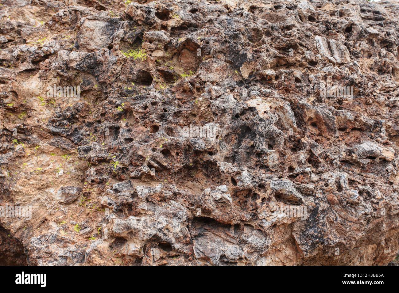 Der Peralta Canyon Trail - eine großartige Wanderung in den westlichen Superstition Mountains in Arizona Stockfoto