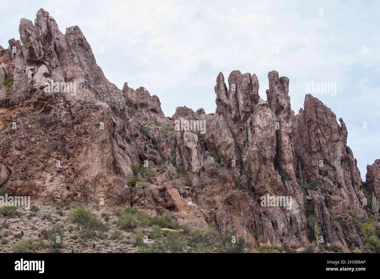 Der Peralta Canyon Trail - eine großartige Wanderung in den westlichen Superstition Mountains in Arizona Stockfoto