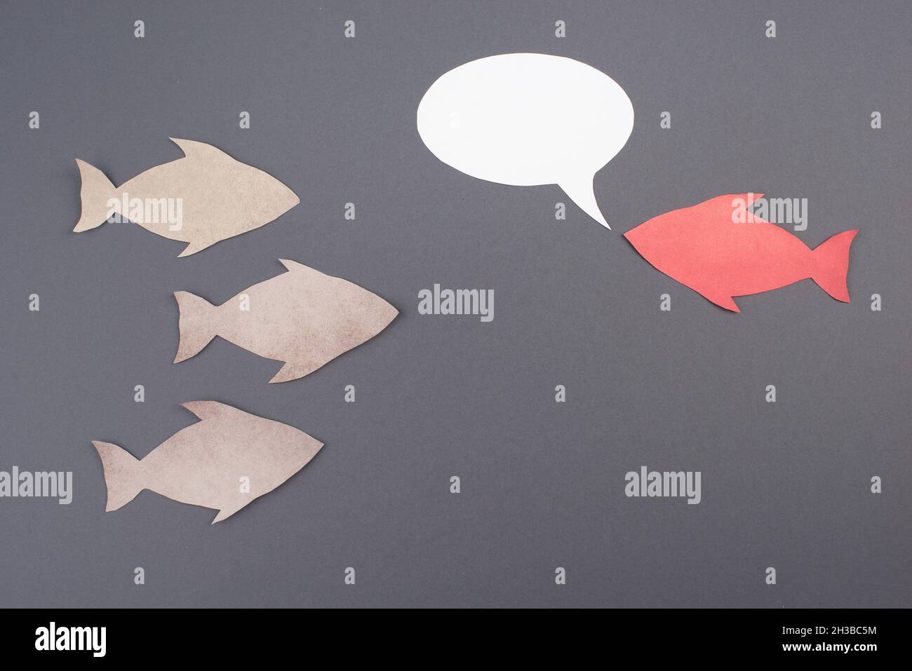 Fisch mit Sprechblase, Kommunikation, eine Diskussion führen, eine Nachricht senden, Platz kopieren, Grauer Hintergrund Stockfoto