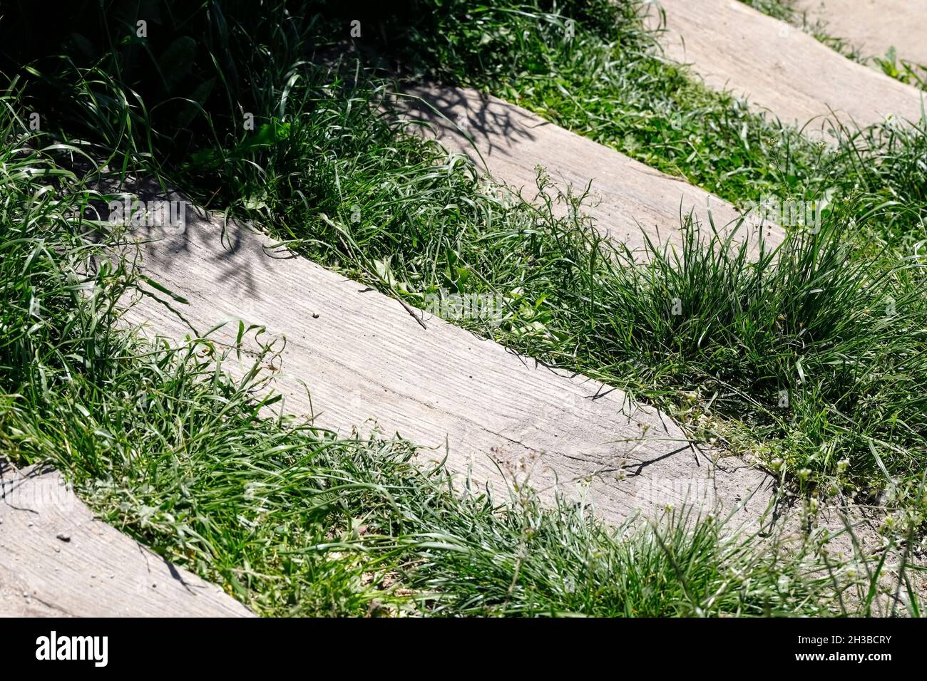 Holztreppen und die umliegende Vegetation sind in Warschau im Park eines Wohnguts namens Goclaw zu sehen. Stockfoto