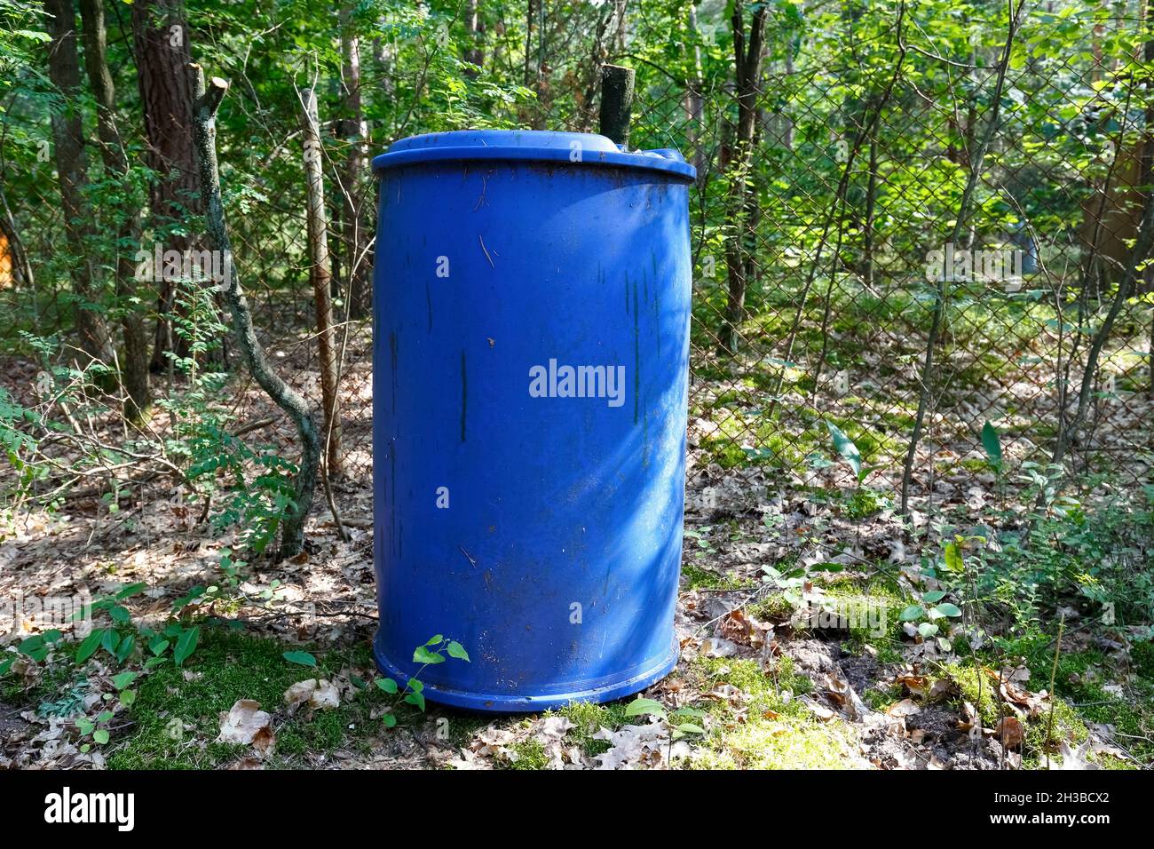 Ein Kunststofffass steht in einem Wald, der irgendwo in Polen wächst. Stockfoto