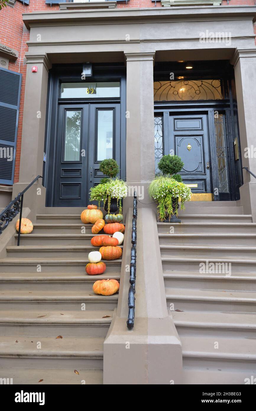 Boston, Massachusetts, USA. Ein Paar Eingänge zu braunen Stadthäusern entlang der Beacon Street zur Halloween-Zeit. Stockfoto
