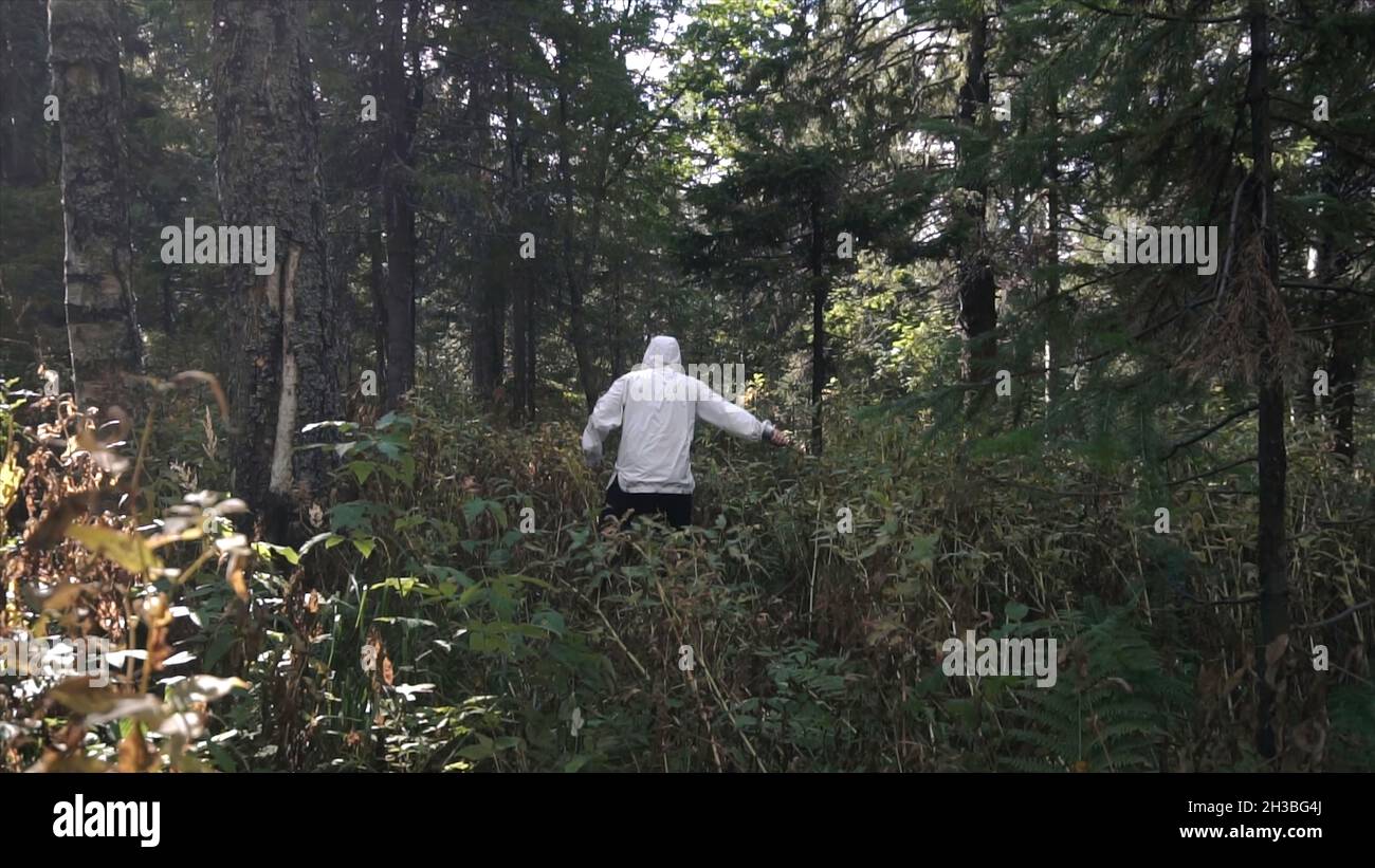 Mann mit Machete im Feldzug durch unwegsame Waldgebiete. Filmmaterial. Einmalige Reise in freier Wildbahn. Konzept des Menschen macht seinen Weg durch Schwierigkeiten Stockfoto