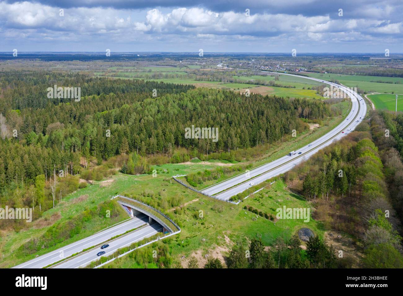 Luftaufnahme über Wildtierüberquerung / Wildtierüberführung / Tierbrücke / Viadukt / grüne Brücke über eine Autobahn in Schleswig-Holstein, Deutschland Stockfoto