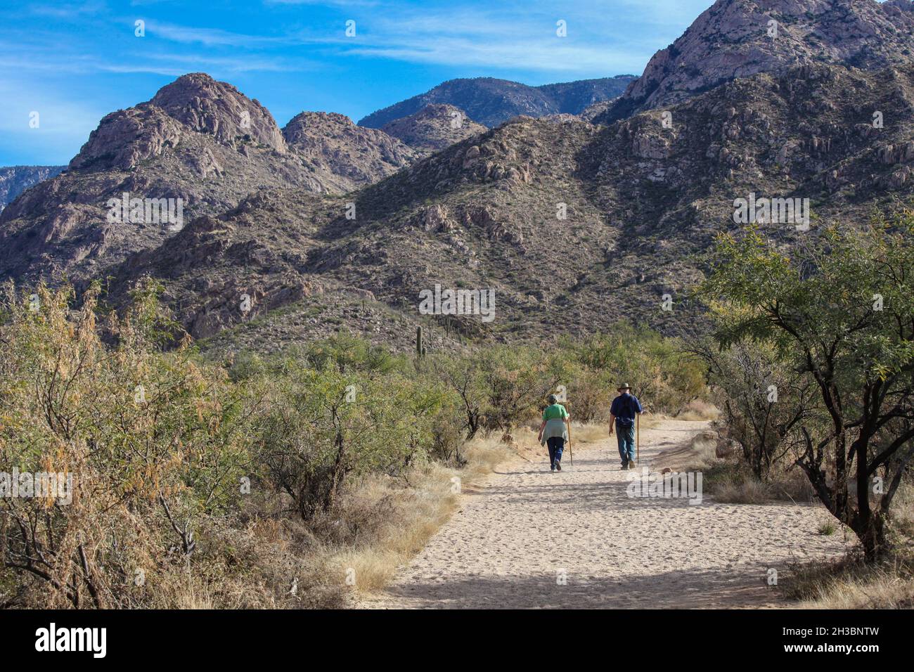 Wandern im Catalina State Park, Arizona.x Stockfoto