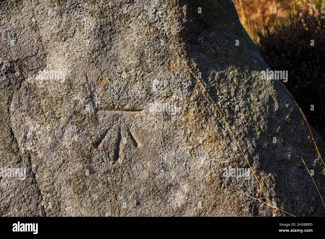 Benchmark wurde in einen Felsblock neben dem Pennine Way bei Crowden in North Derbyshire, England, gemeißelt. Stockfoto