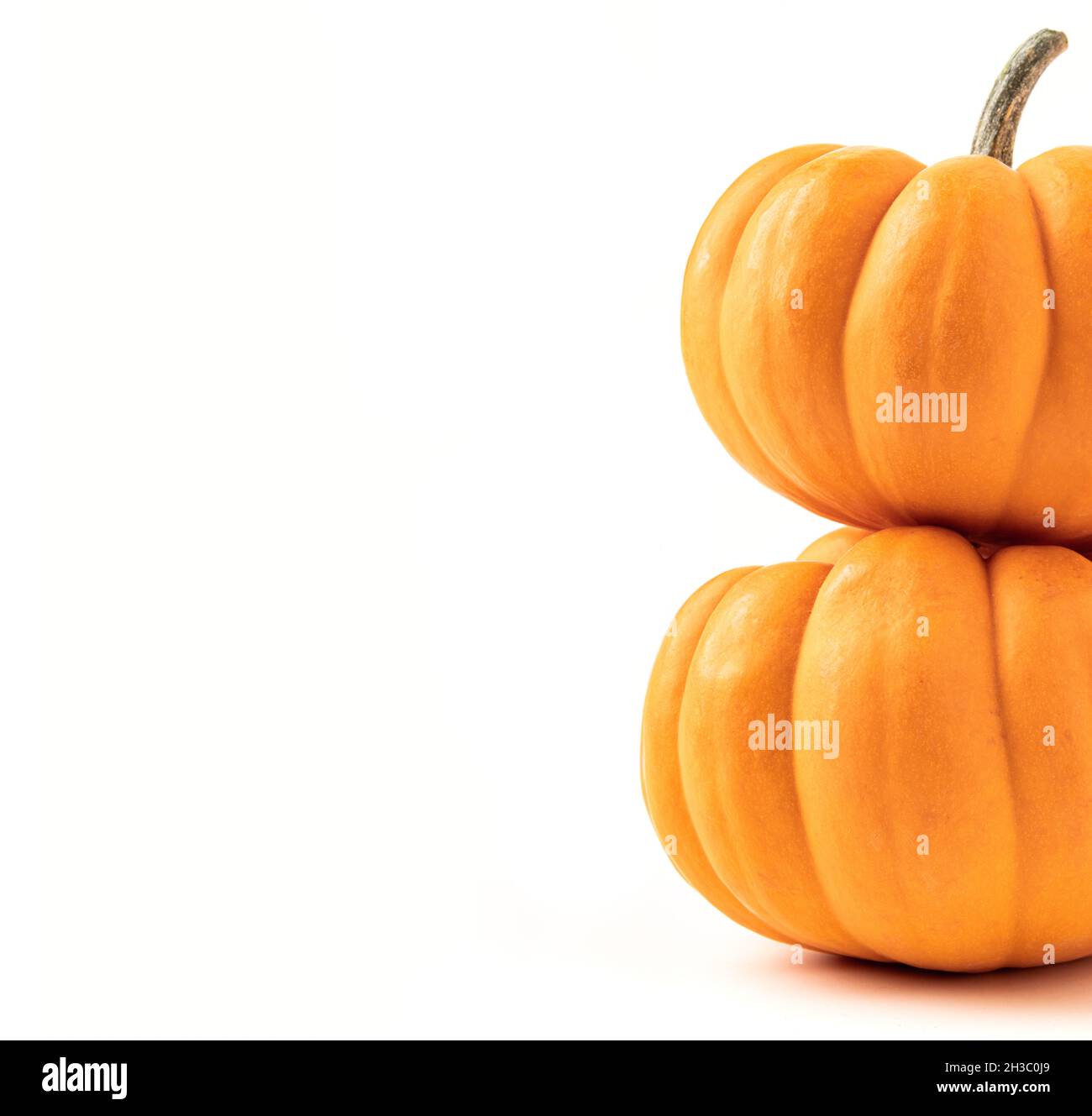 Zwei orangefarbene Kürbisse übereinander auf weißem Hintergrund. Platz auf der linken Seite der Kürbisse kopieren Stockfoto