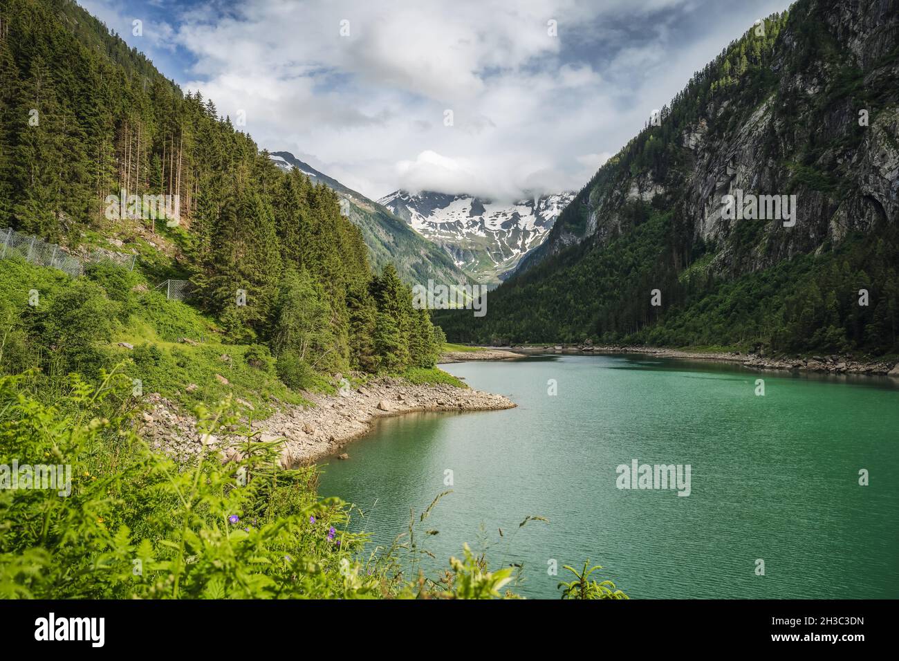 Stillup Bergsee in Sommertime, Österreich, Tirol Stockfoto
