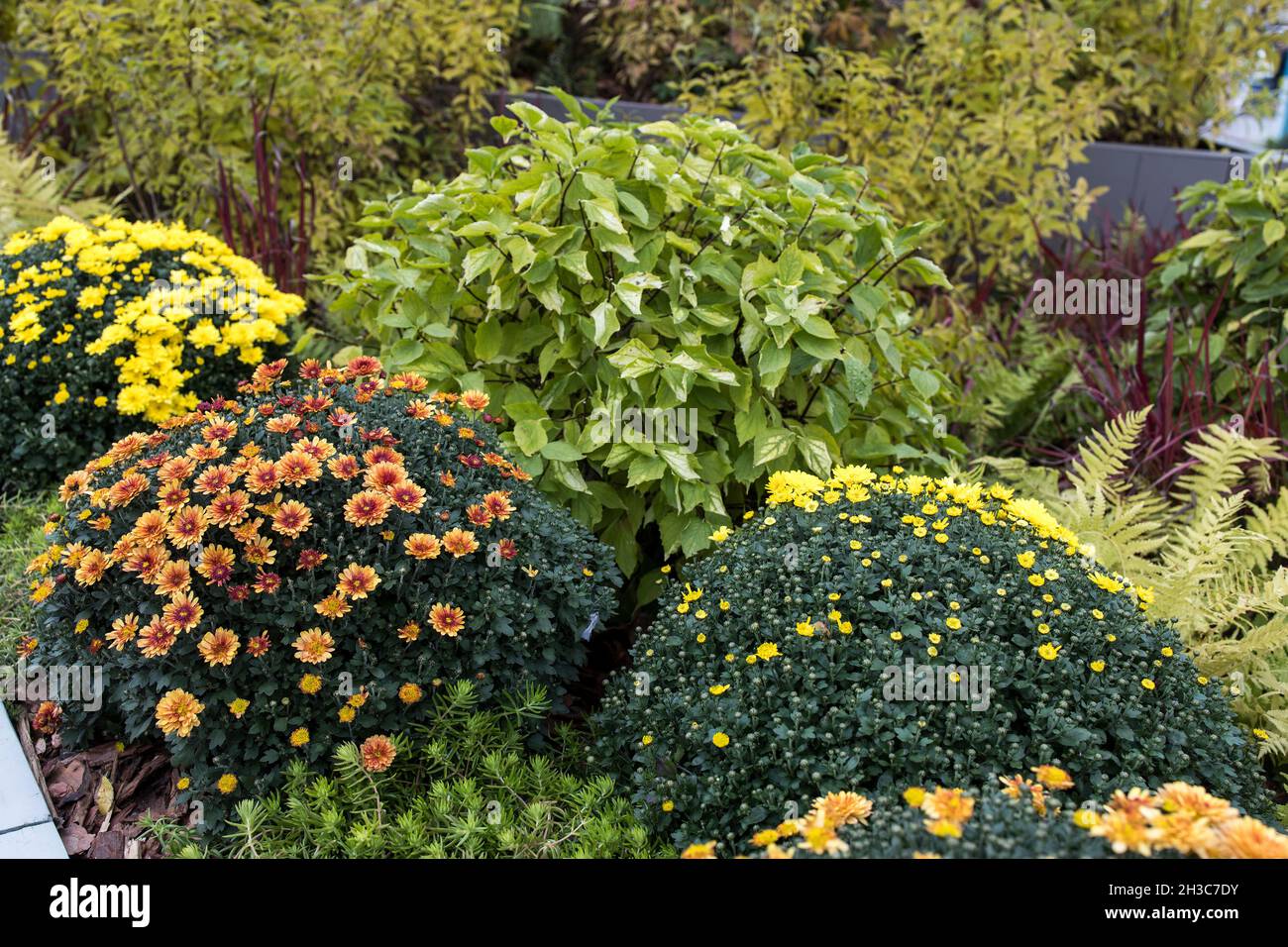 Blumenladen le bouquet Fotos und Bildmaterial in hoher Auflösung Alamy