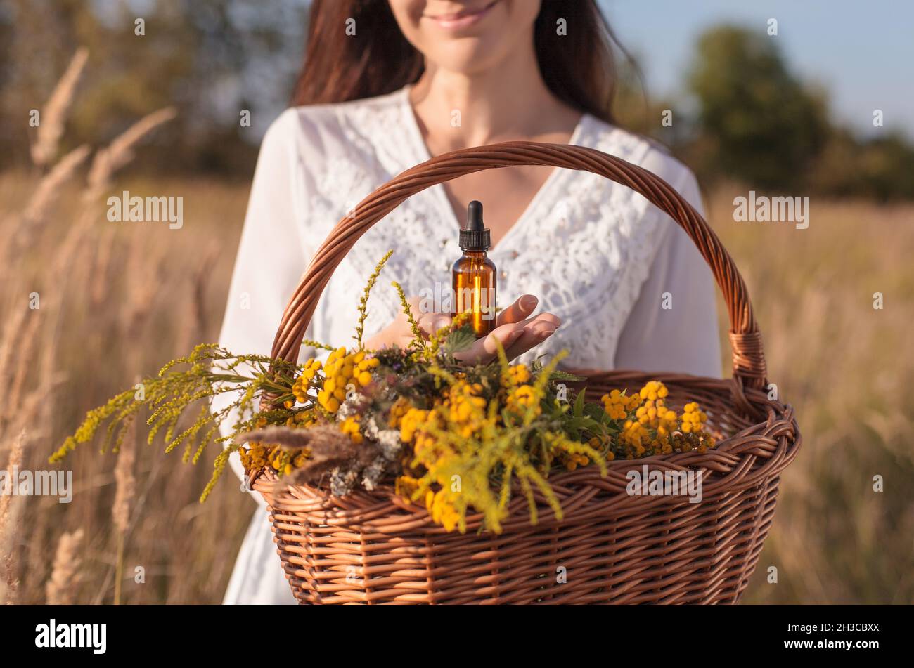 Eine Frau sammelt Kräuter, ätherisches Öl, Flasche. Kräutermedizin - Konzept. Stockfoto