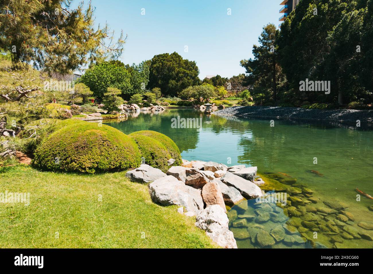 Der Hauptteich im Japanischen Freundschaftsgarten von Phoenix, Arizona Stockfoto