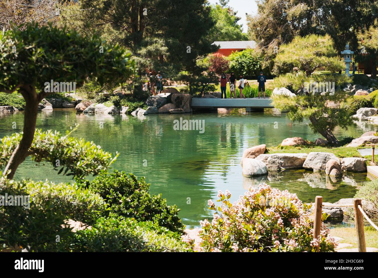 Der Hauptteich im Japanischen Freundschaftsgarten von Phoenix, Arizona Stockfoto