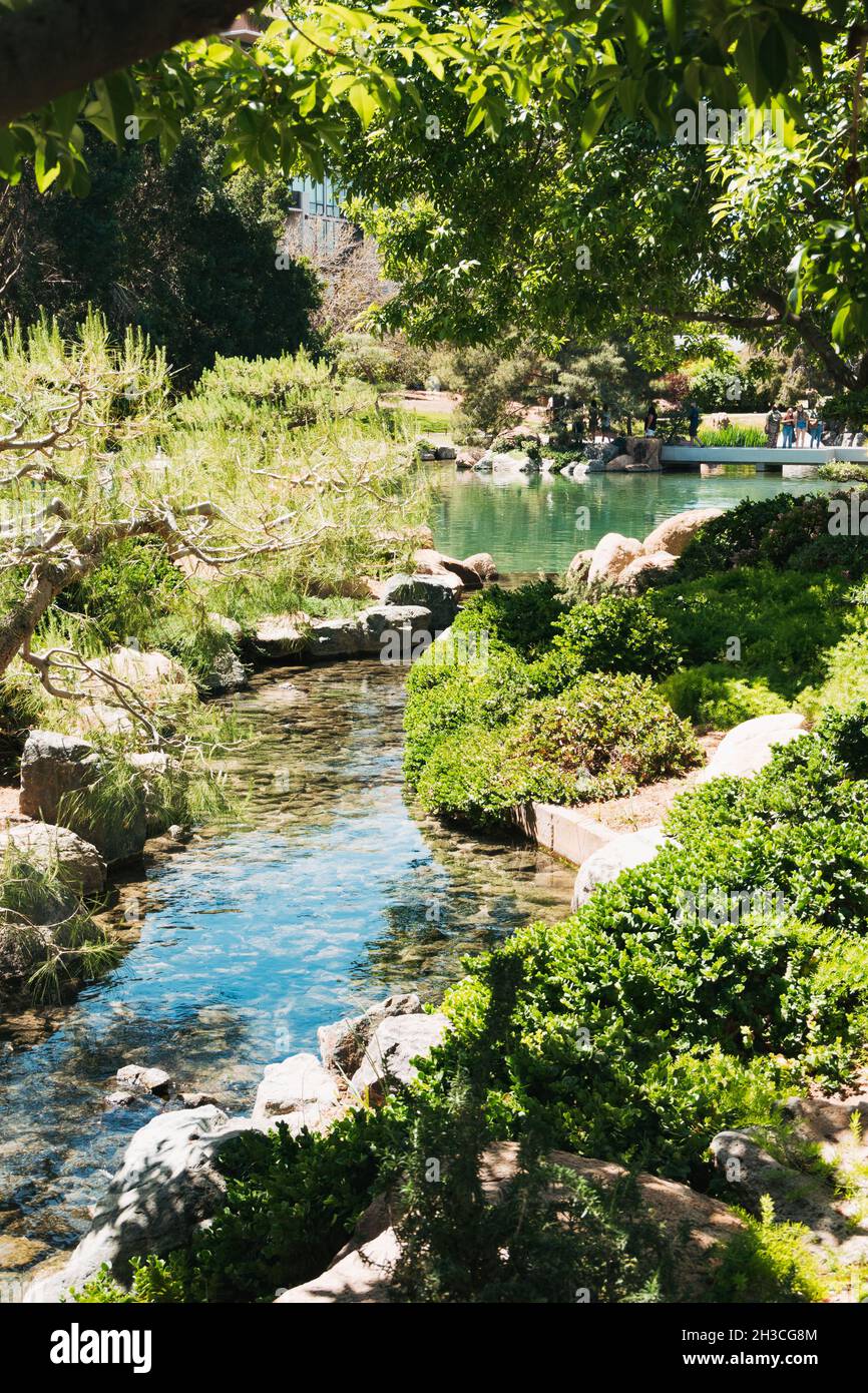 Ein kleiner Nebenfluss speist den Hauptteich im Japanischen Freundschaftsgarten von Phoenix, Arizona Stockfoto