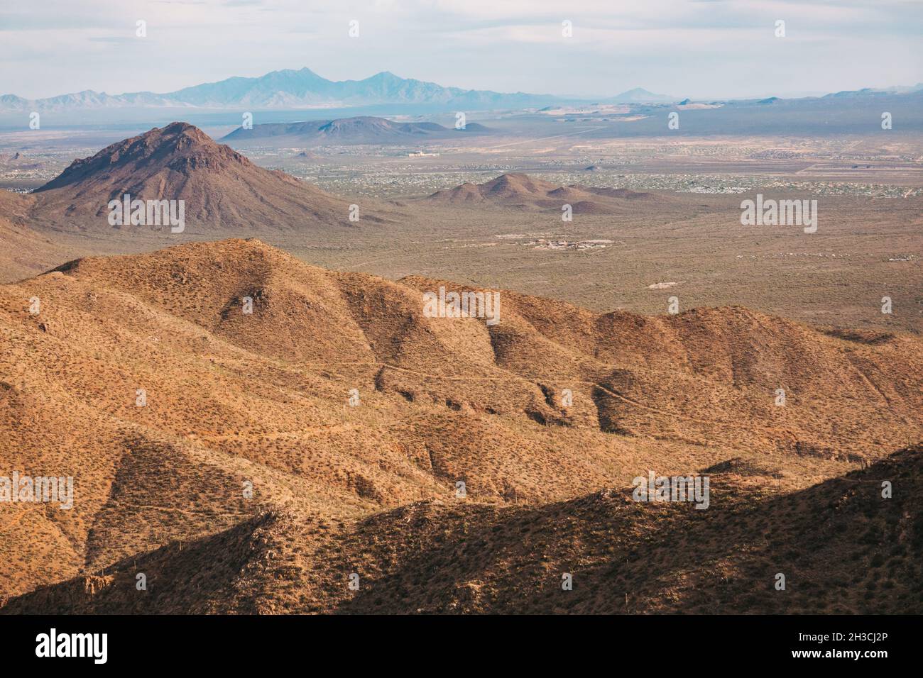 Der Blick vom Wasson Peak im Saguaro National Park, Tucson, AZ. Heimat der größten Kaktusarten der USA Stockfoto