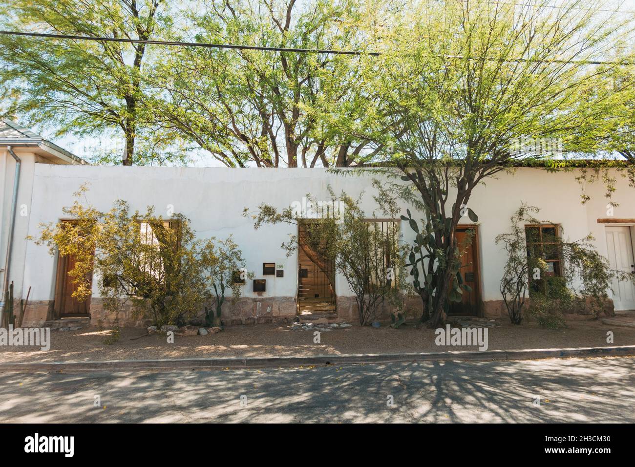 Bäume Schatten ein Haus in Barrio Viejo, Tucson, AZ, gebaut im adobe/Pueblo Stil Stockfoto