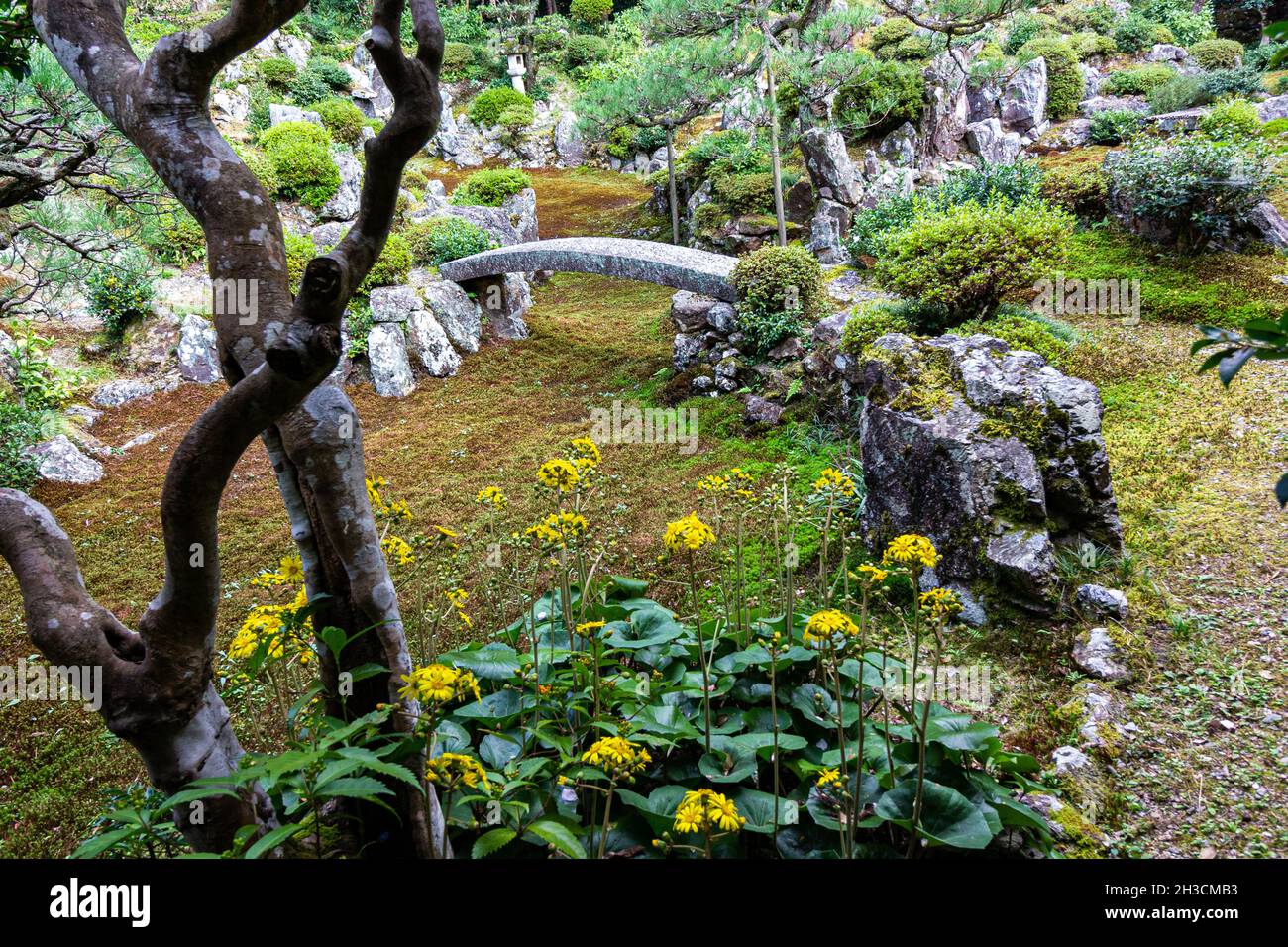 landschaft Fotos und Bildmaterial in hoher Auflösung Alamy