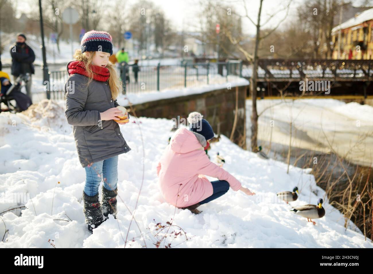 Zwei junge Schwestern füttern Enten an sonnigen Wintertagen im Stadtpark. Stadtvögel helfen, den Winter zu überleben. Familienaktivitäten im Schnee. Stockfoto