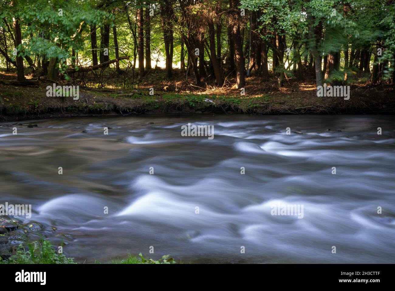 Maisemore Court und St. Giles Kirche Blick über den See im Severn Vale Dorf Maisemore, Gloucestershire UK Stockfoto