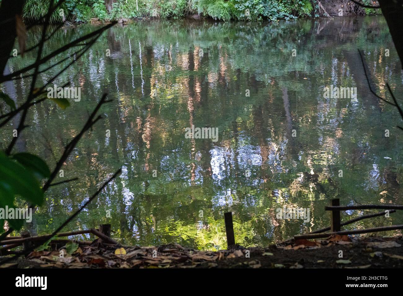 Maisemore Court und St. Giles Kirche Blick über den See im Severn Vale Dorf Maisemore, Gloucestershire UK Stockfoto