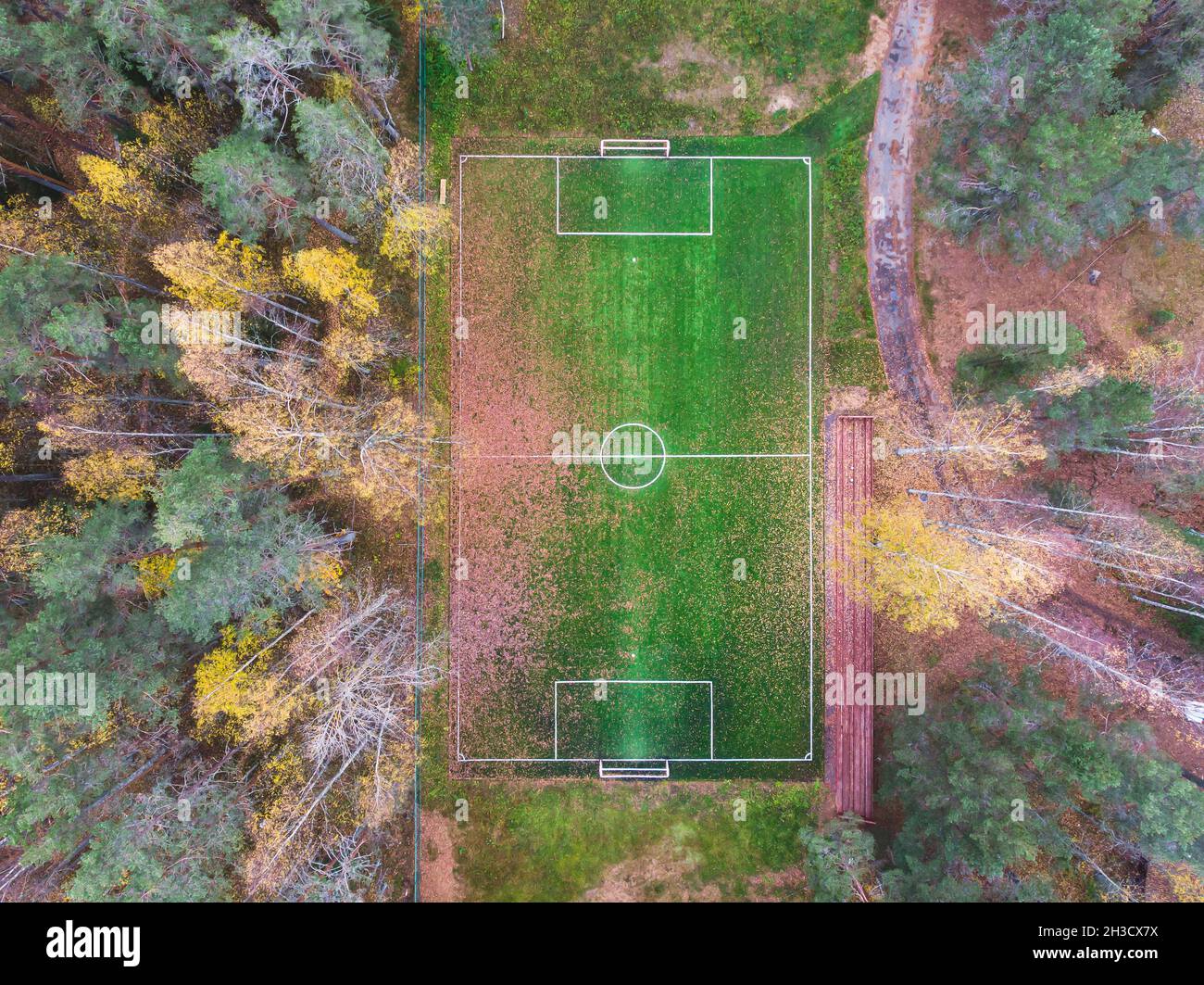 Aerial Drohne Blick auf Fußball-Fußballplatz, grünes Gras Herbst pulsierende Spielplatz mit gefallenen bunten Blättern im Wald, hidd Stockfoto