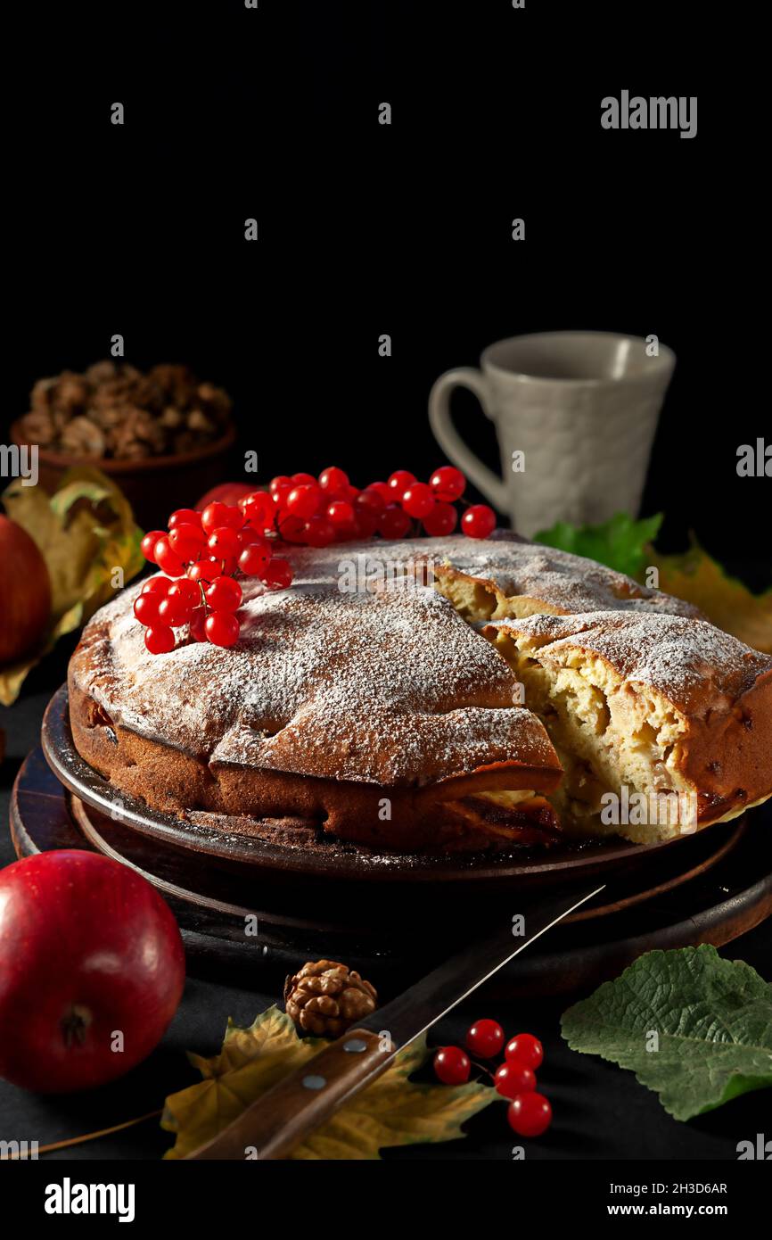 Frisch gebackene hausgemachte Apfeltarte auf einer Platte Stockfoto