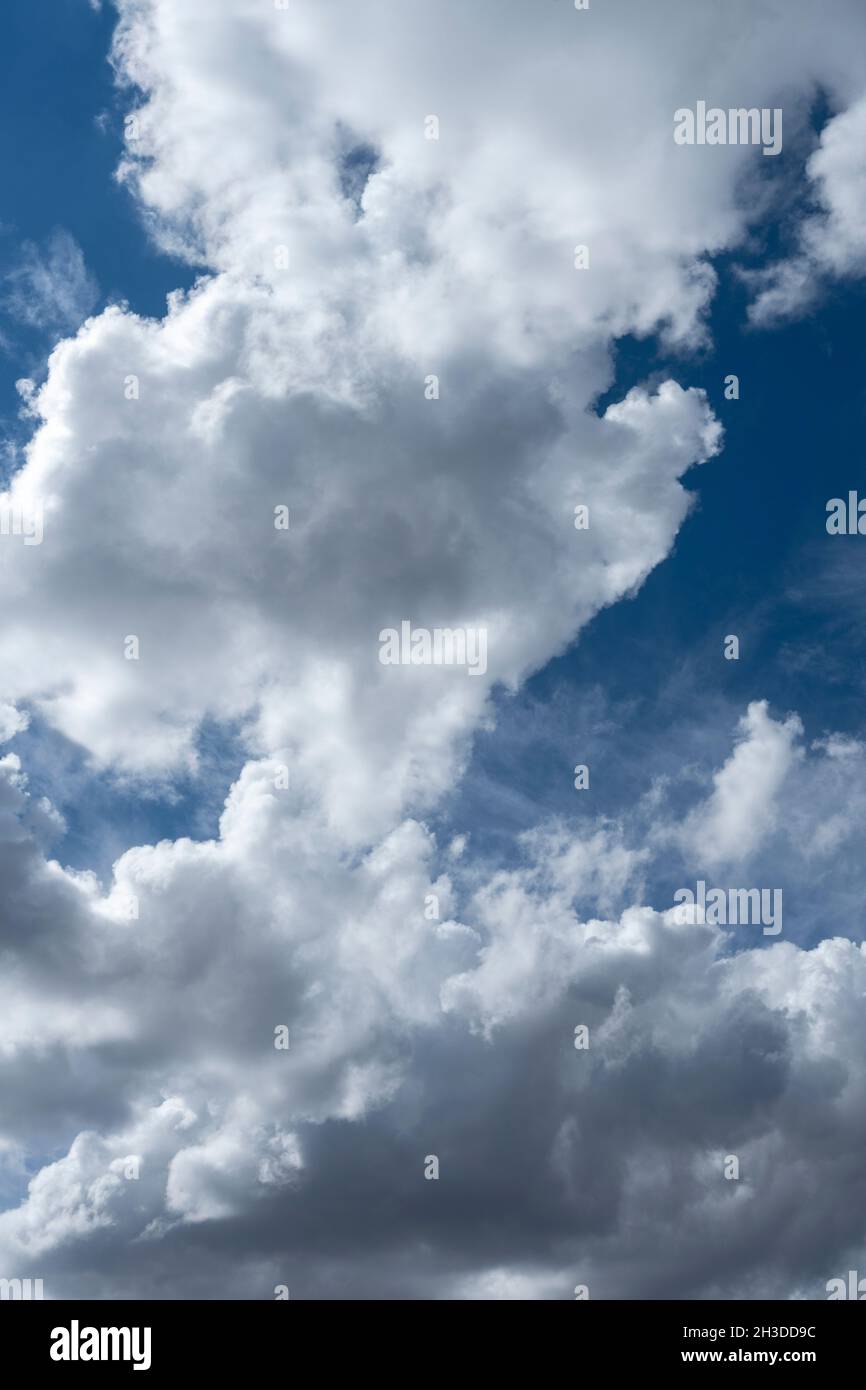 Wolken von Wasserdampf am Abendhimmel. Vektorstruktur am Himmel Stockfoto