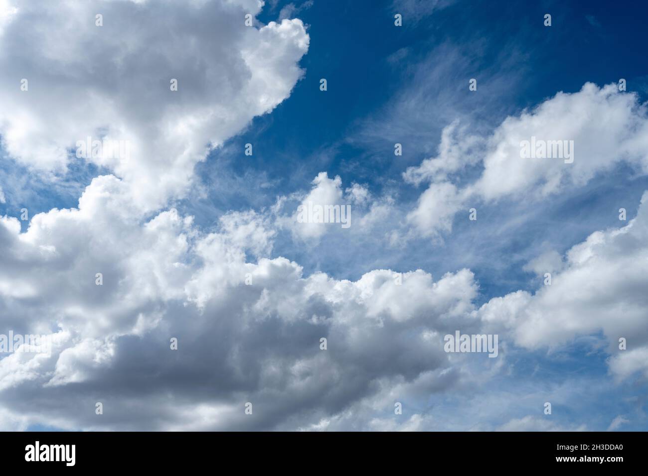 Stratocumulus Wasserdampfwolken. Vektorstruktur am Himmel Stockfoto