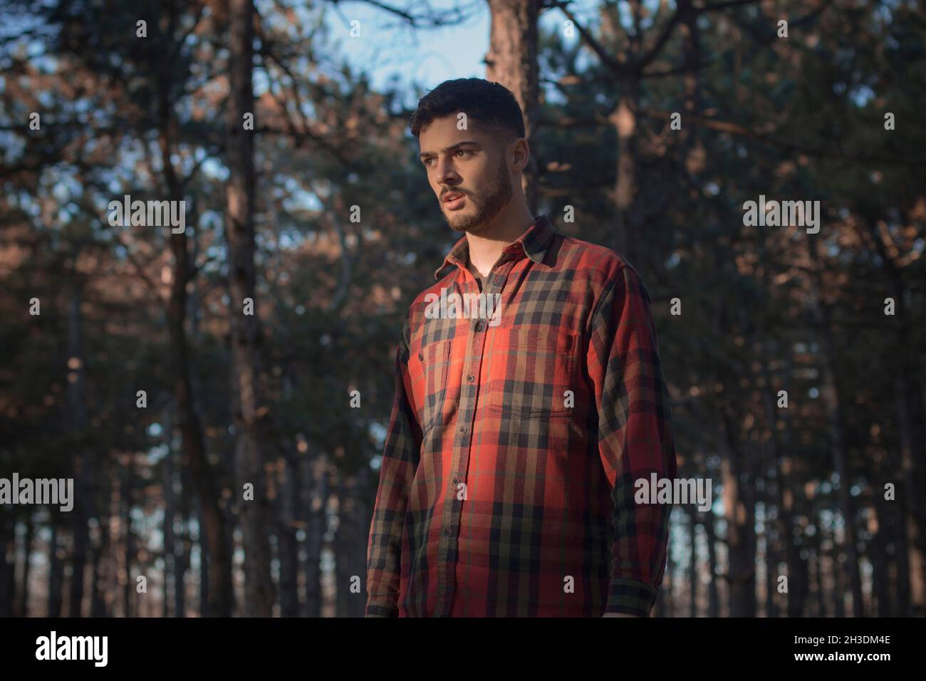 Der Typ ist mitten im Wald, der Reisende ist unterwegs Stockfoto